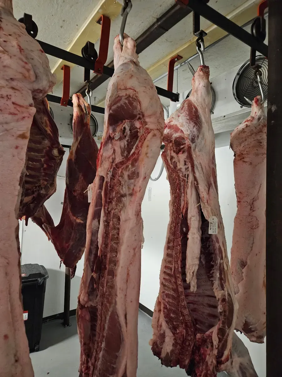Walk-in cooler at H&M Custom Meat